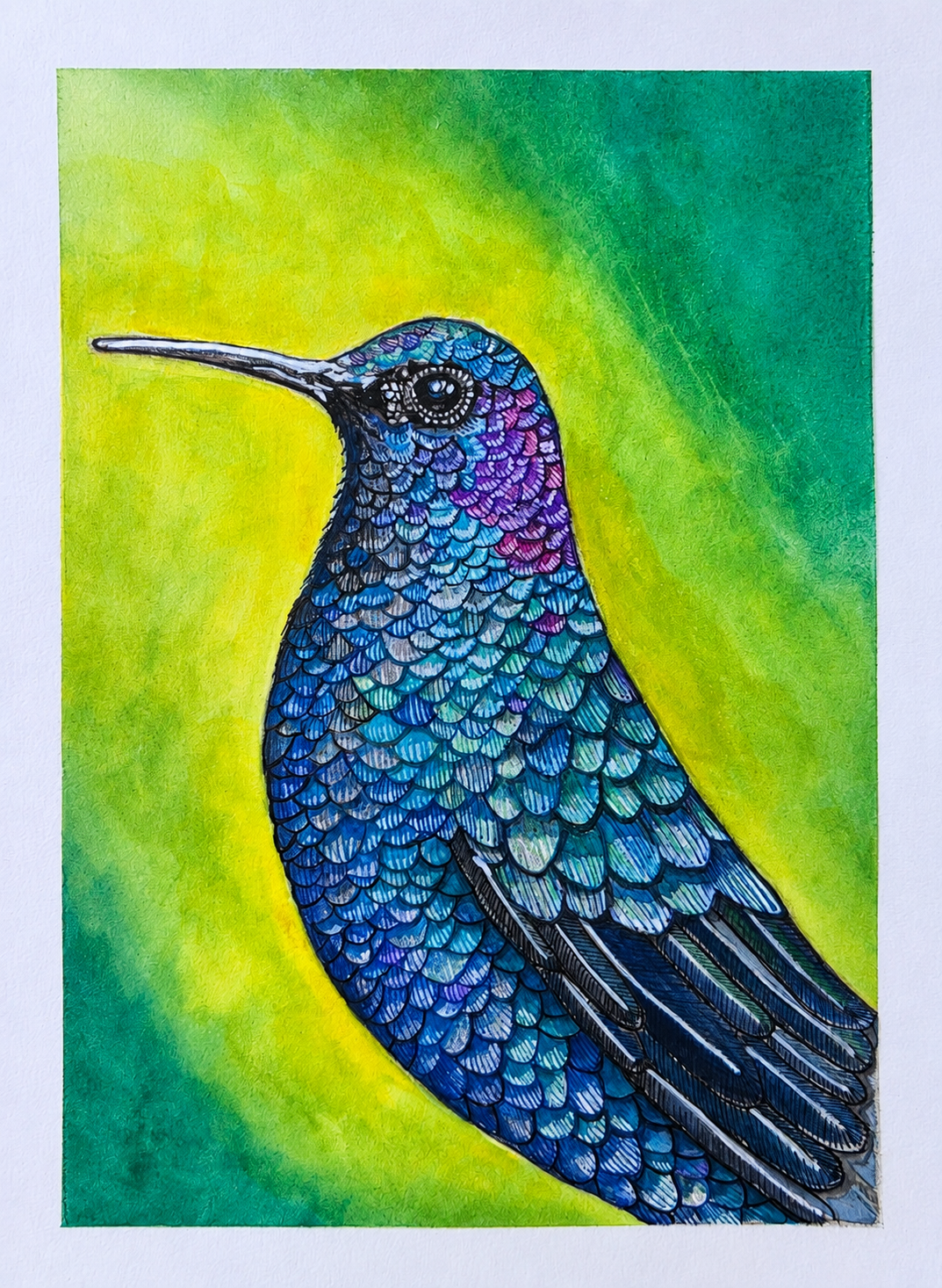 Colibrí azul