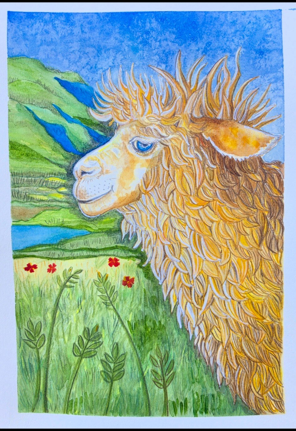 Llama en el valle