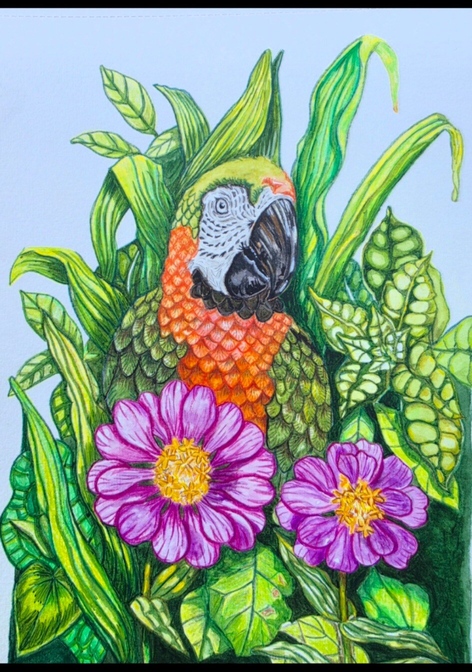 Dibujo Loro entre flores