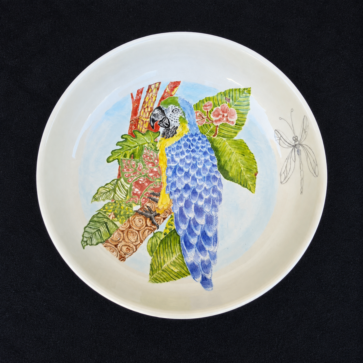 Plato Loro azul