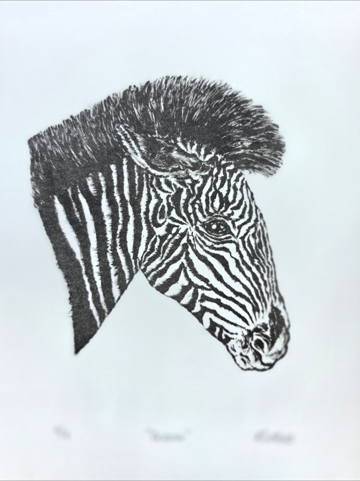 Cebra