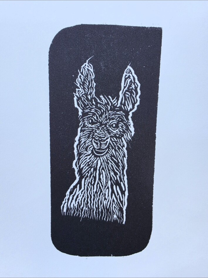 Llama