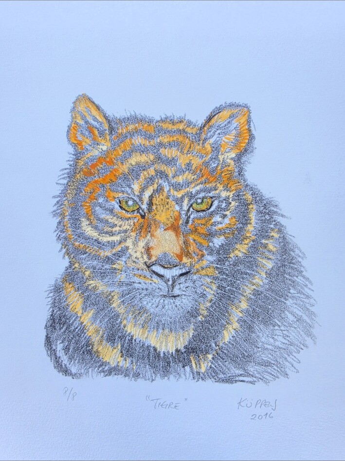 Tigre